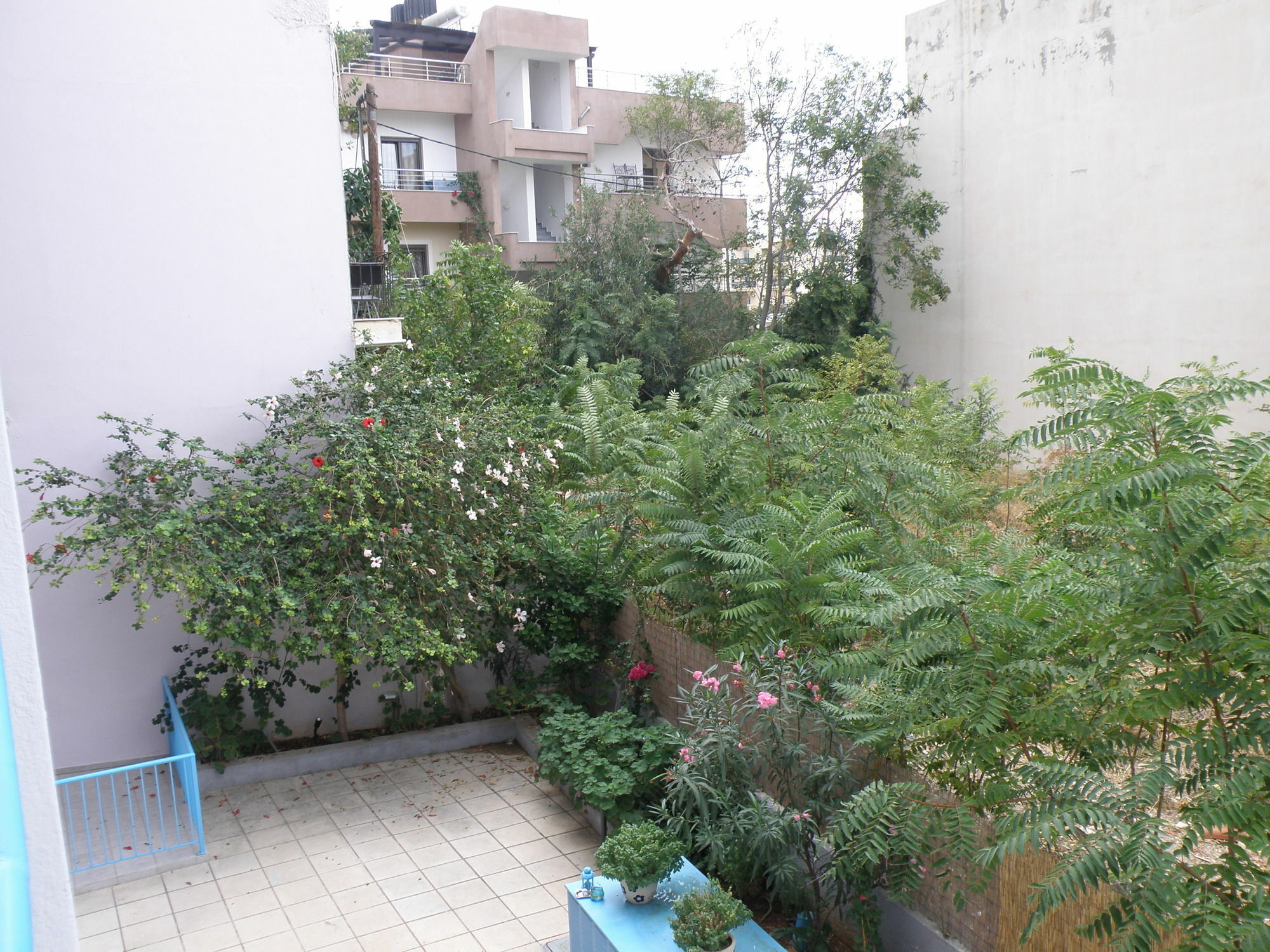 Amalthia Apartments Hersonissos  Exteriör bild